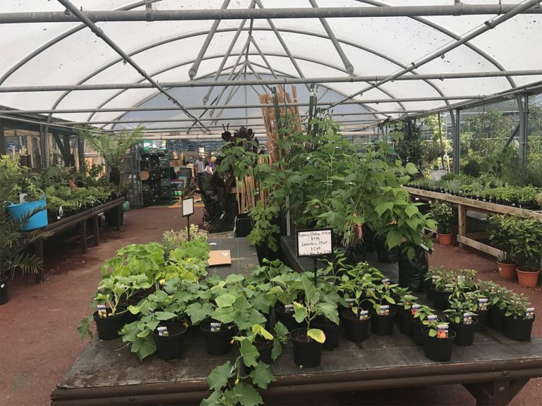 23min Redcliffe Garden Centre Local Garden Centre in Bashley