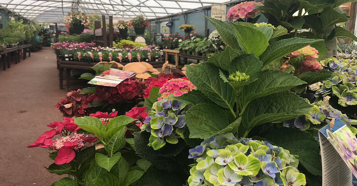 Potting Shed